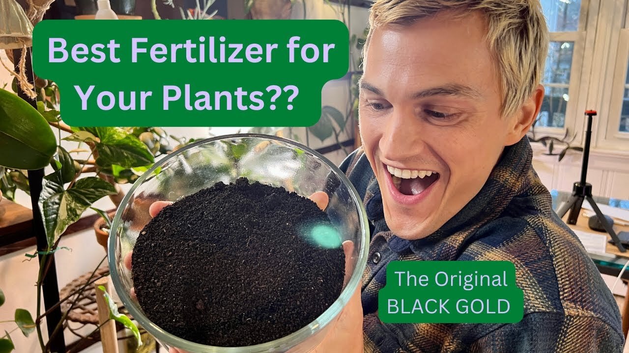 Video thumbnail for Great Organic Fertilizer - WORM CASTINGS - for all Plants