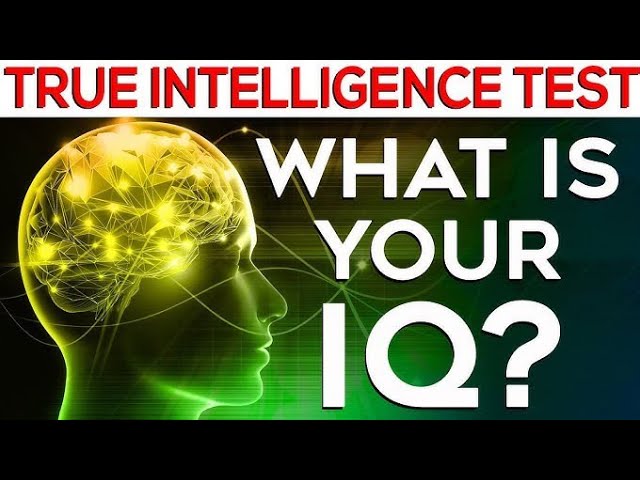 The 9 Types of Intelligence and What They Reveal About You | Open Video