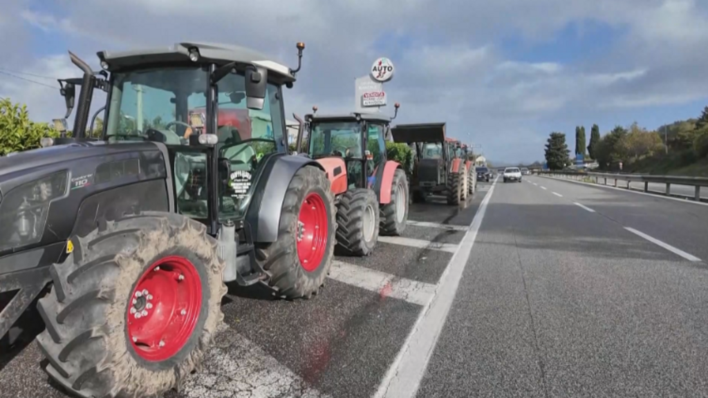 Video thumbnail for Italy's trucker protests halt buffalo mozzarella production, cost producers €3m
