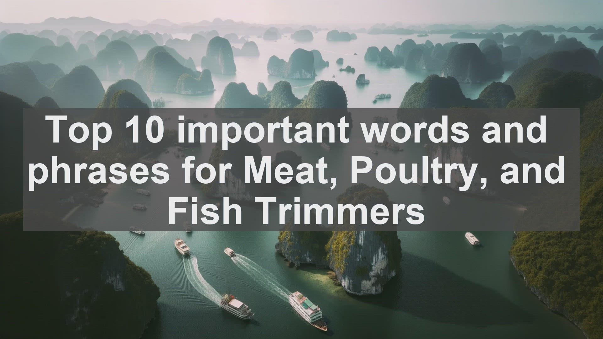 'Video thumbnail for Top 10 important words and phrases for Meat Poultry and Fish Trimmers'
