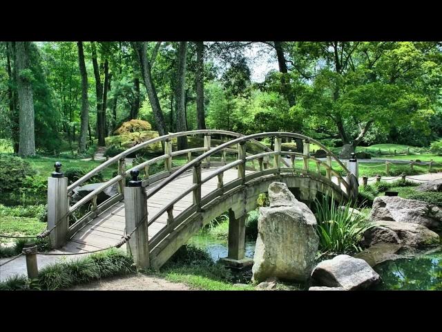 Video thumbnail for million of nature copyright free stocks