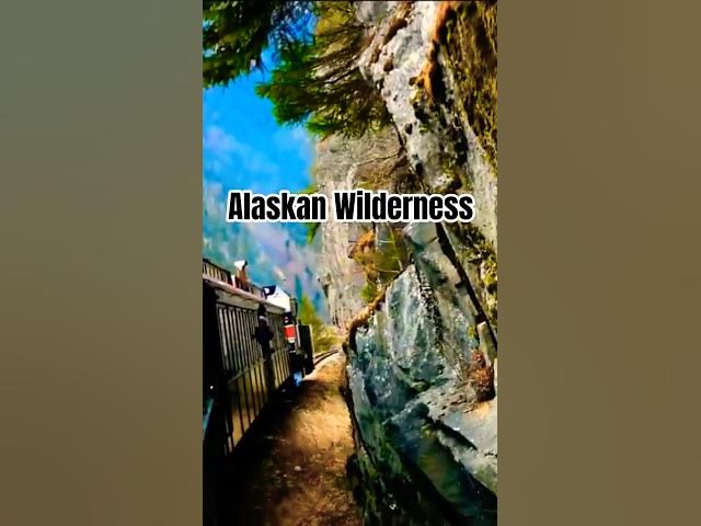 Video thumbnail for Alaska's Wilderness Along the White Pass Railroad  🛤