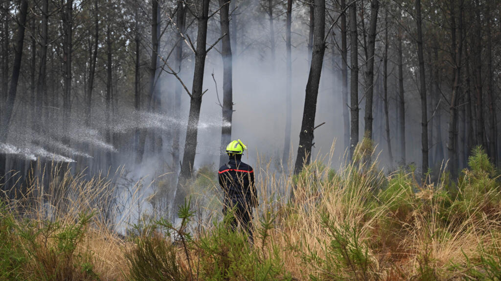 Video thumbnail for Monster fires spark debate over France's forest management