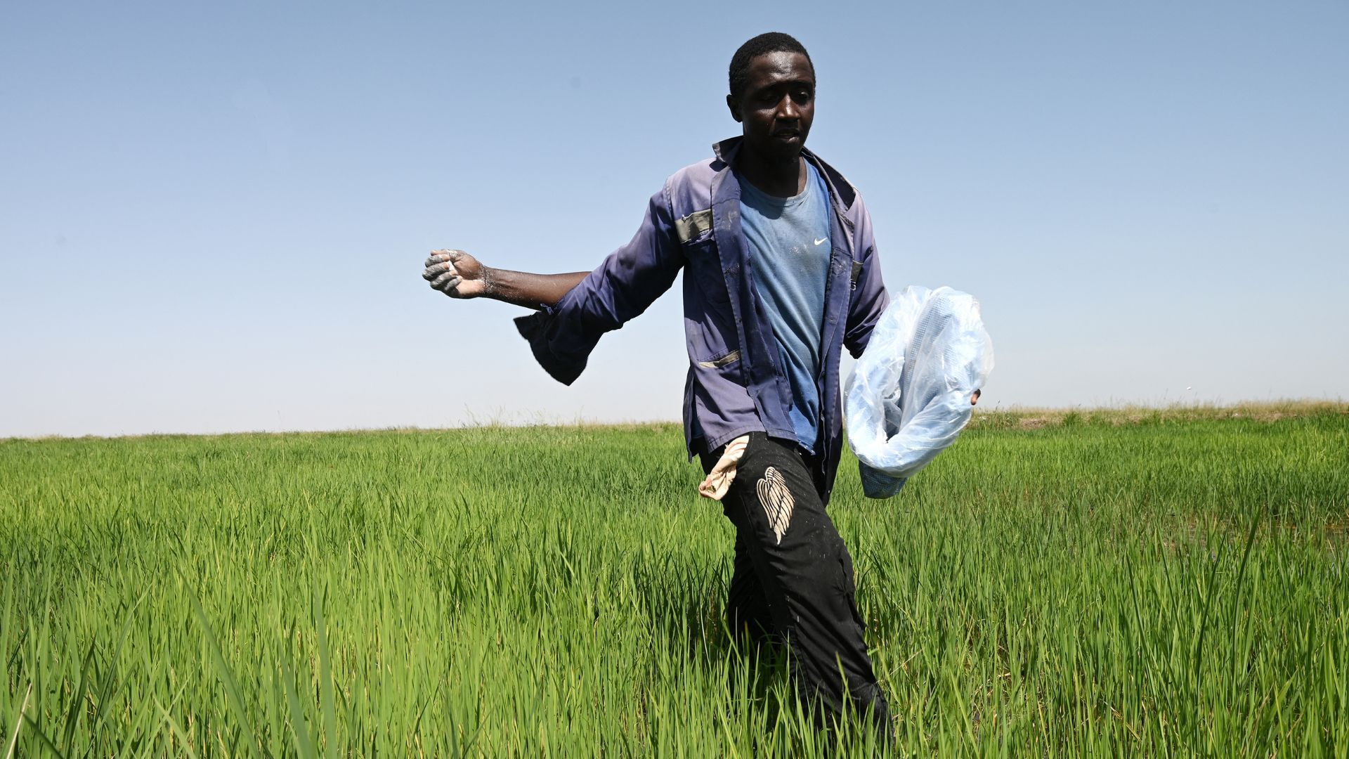 'Video thumbnail for Senegal launches farming initiative to empower jobless graduates'