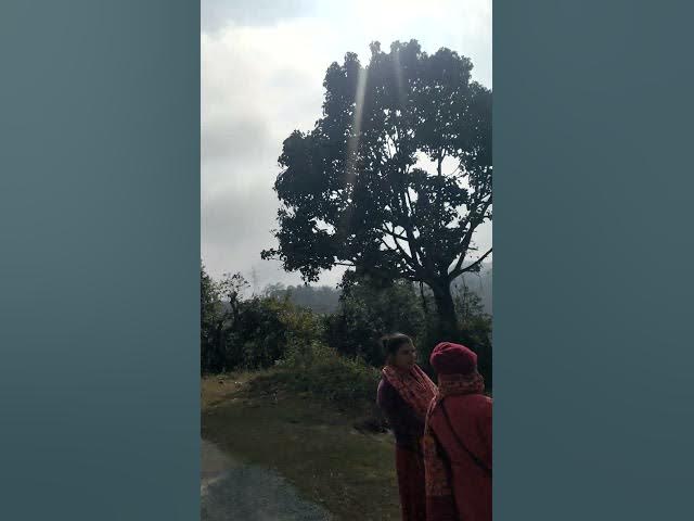 Video thumbnail for Pokhara village visit #shrots