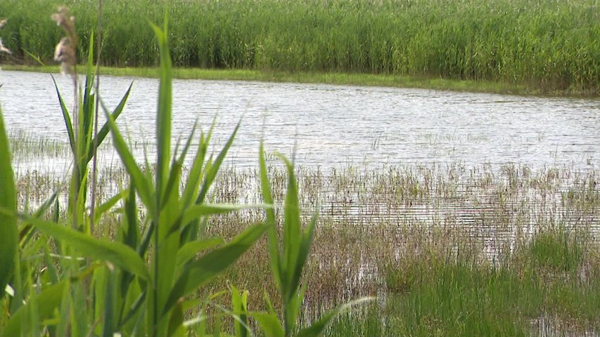 Video thumbnail for East Hampton groundwater contamination sparks calls for state cleanup