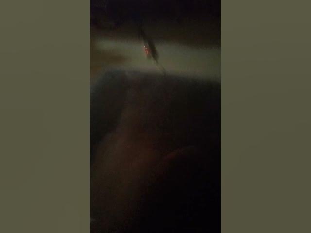 Video thumbnail for Hi baby girl