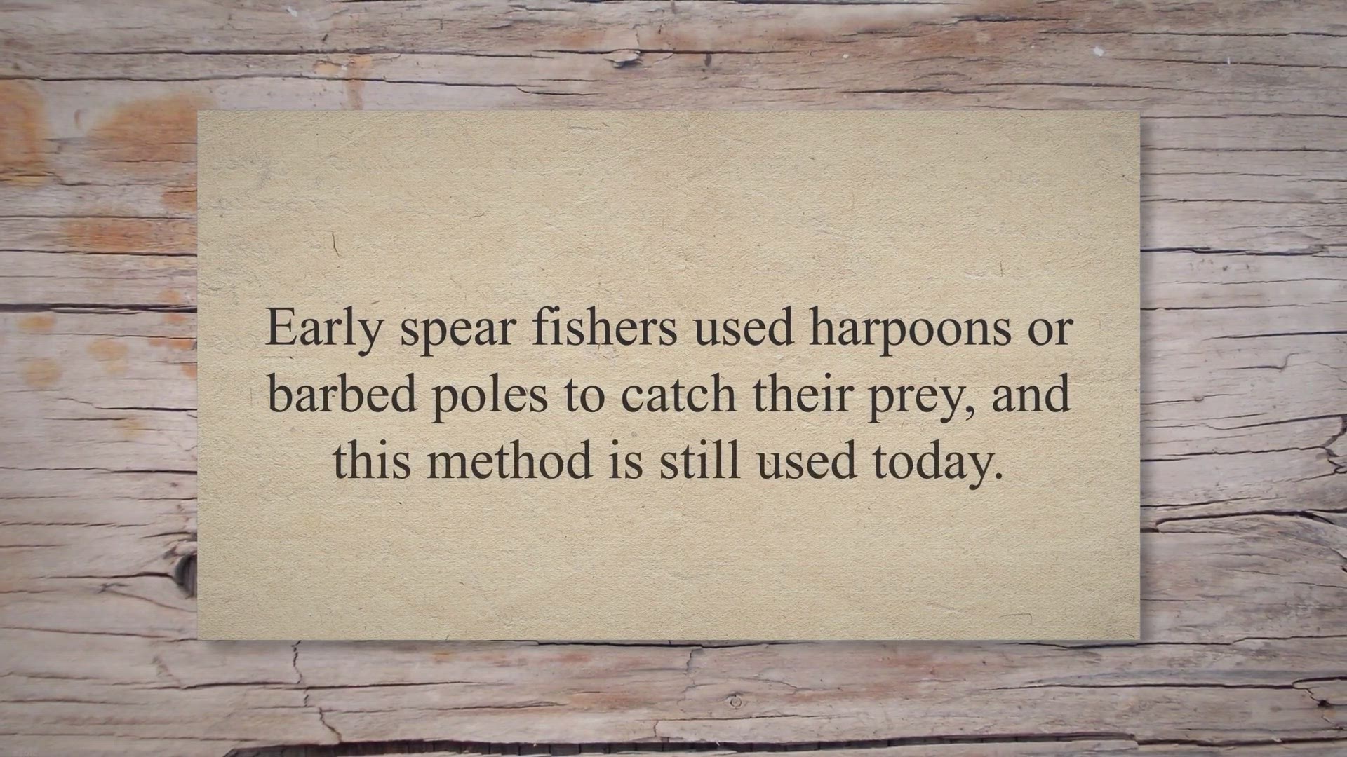 Video thumbnail for Speargun – Diver’s Buying Guide: Everything You Need to Know