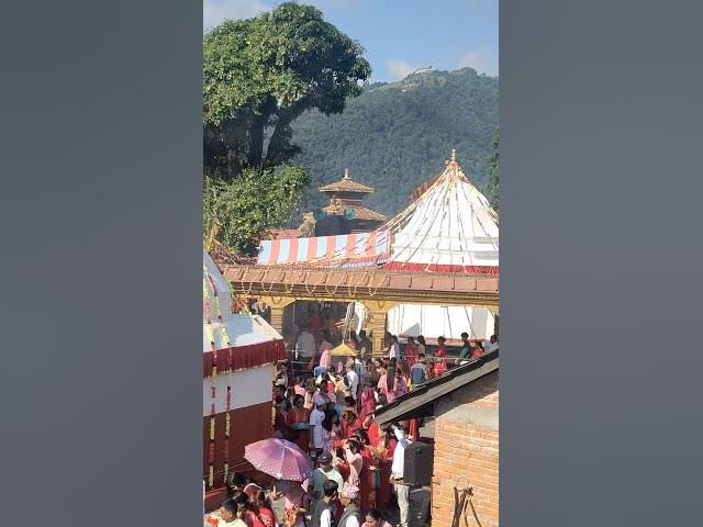 Video thumbnail for Natural ✨ #shrots