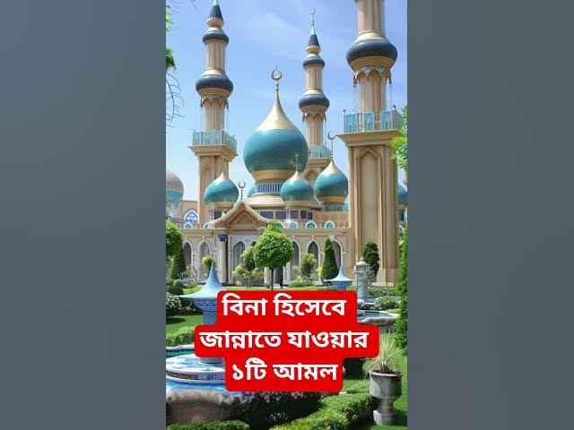 Video thumbnail for বিনা হিসেবে জান্নাতে যাওয়ার ১টি আমল#shorts #viral#sheikh_ahmadullah#islamicalortips