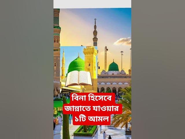 Video thumbnail for বিনা হিসেবে জান্নাতে যাওয়ার ১টি আমল#shorts #viral#sheikh_ahmadullah#islamicalortips