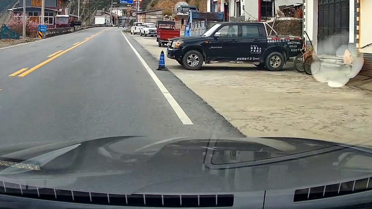 Video thumbnail for China: Chickens stop car before rocks fall on road in China.