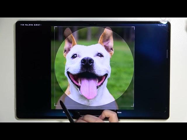 Video thumbnail for How to Add Photo to Contact in SAMSUNG Galaxy Tab S8 Ultra – Customize Contact List