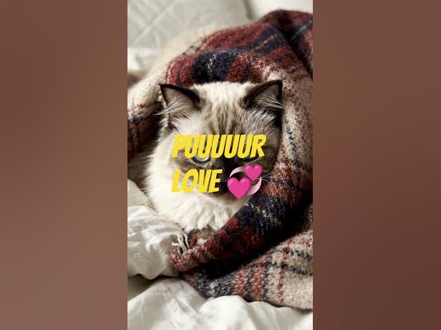 Video thumbnail for March 31, 2026