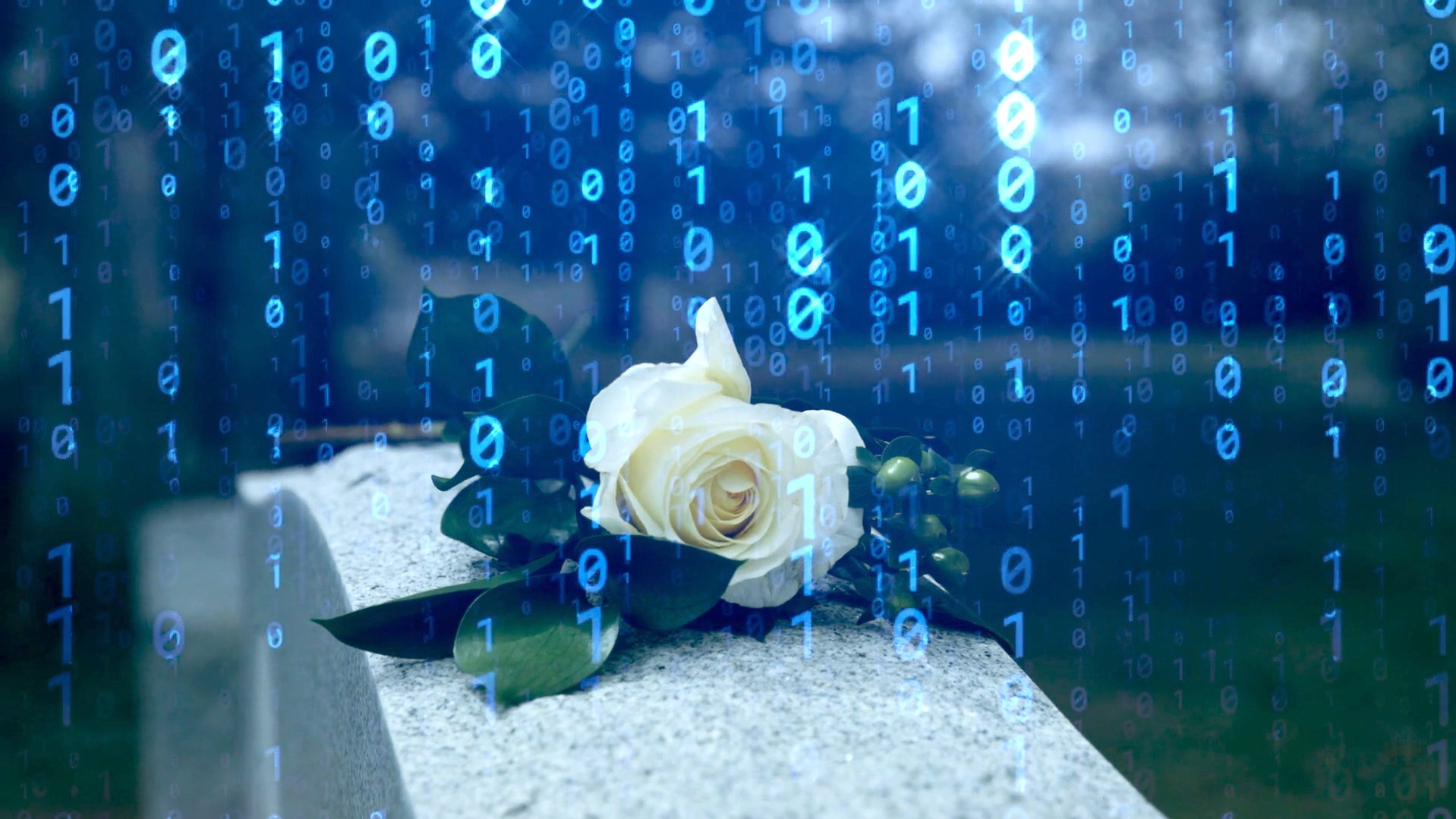 Video thumbnail for Past study suggests AI might predict how you die