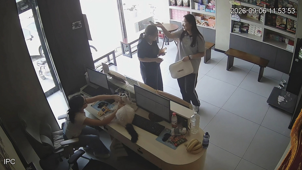 Video thumbnail for Bird Lands on Woman’s Head at Pet Hospital in Tianjin