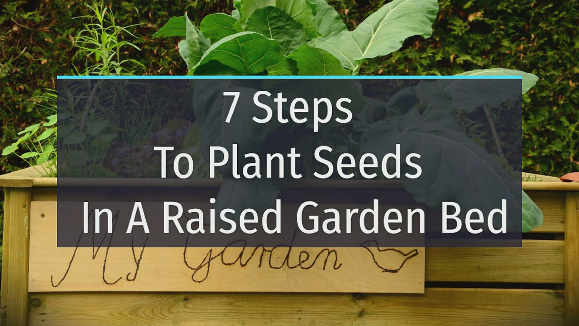 Video thumbnail for 7 Steps To Plant Seeds