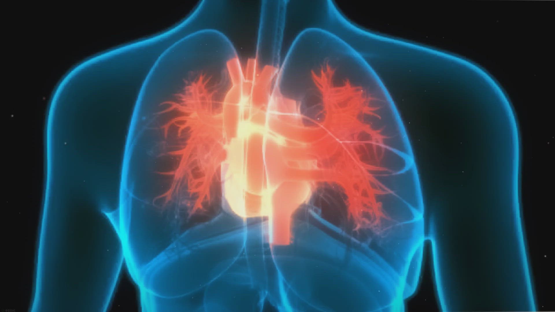 Video thumbnail for Activate Your Heart: Every Step Matters