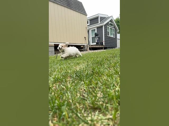 Video thumbnail for ๐ #shorts