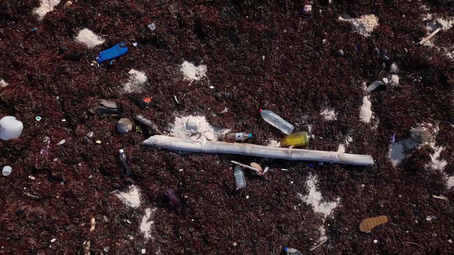 'Video thumbnail for Microplastics Impact on the Environment & Human Health'