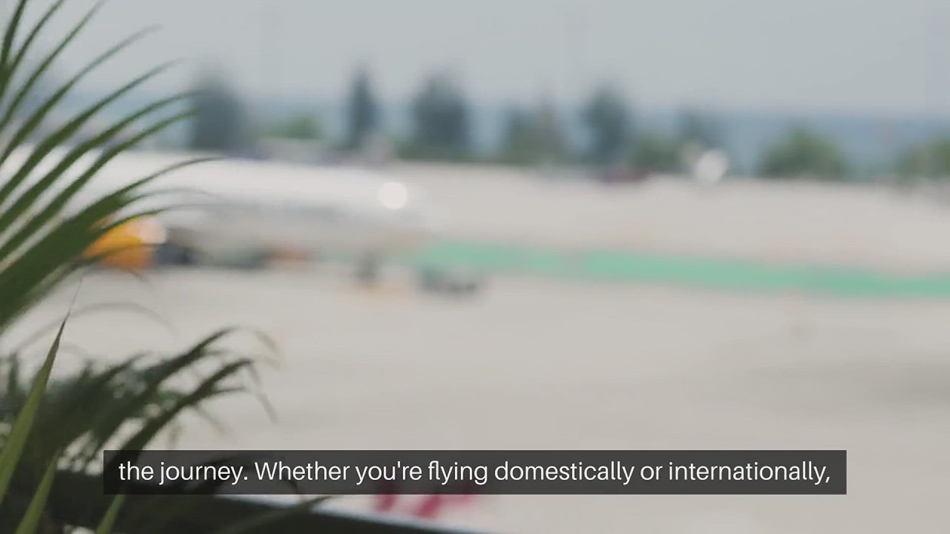 Video thumbnail for Air Travel with Pets Guide