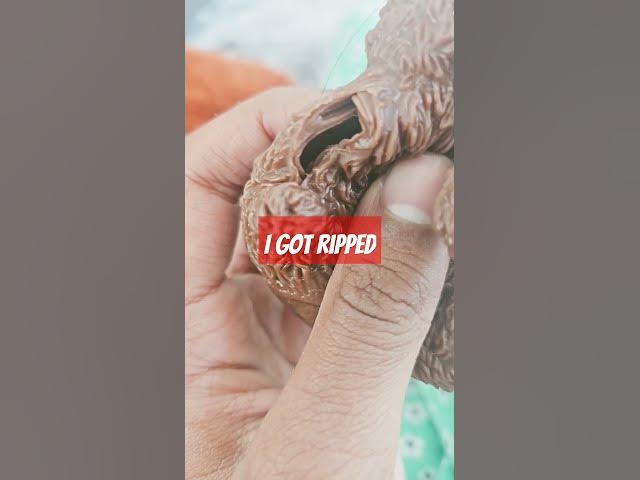 Video thumbnail for October 12, 2024