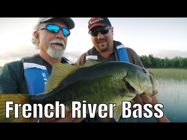 Video thumbnail for Largemouth and Smallmouth on the French River | Fish'n Canada
