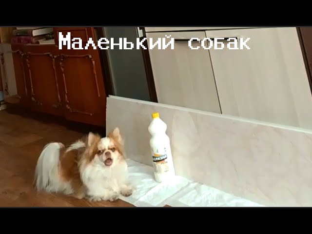 Video thumbnail for Юля ава