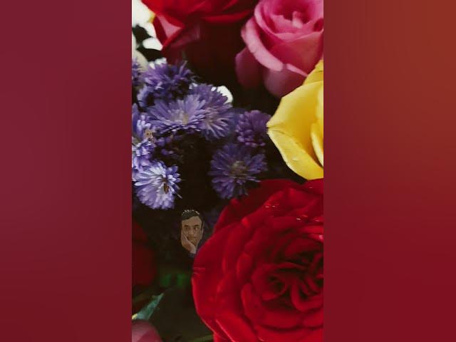 Video thumbnail for 17 November 2022