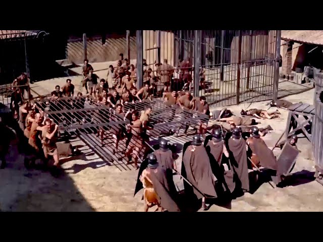 Video thumbnail for Spartacus Fights For His Freedom