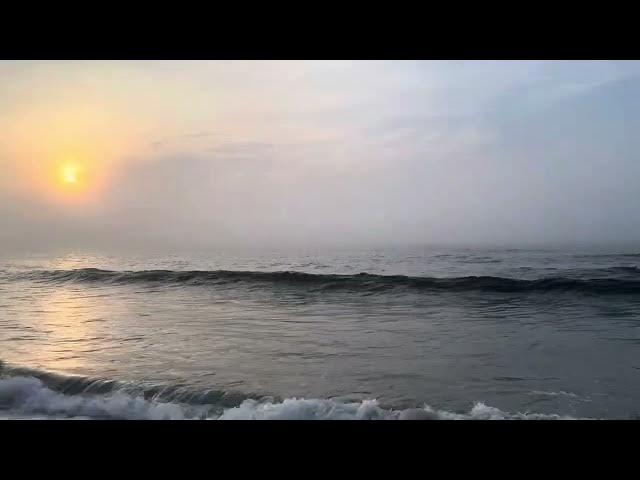 Video thumbnail for A Misty Morning in Bay Head