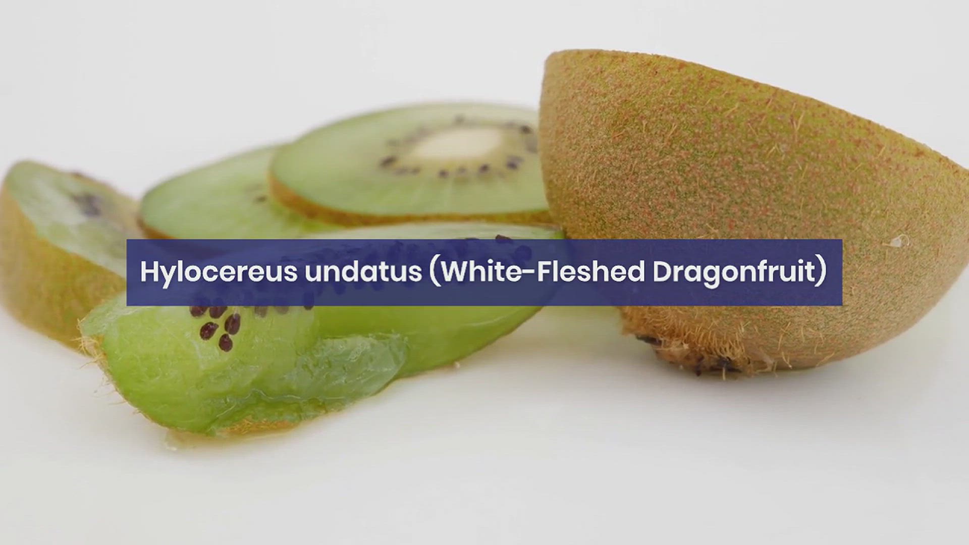 'Video thumbnail for How to Grow Dragonfruit in Your Garden'