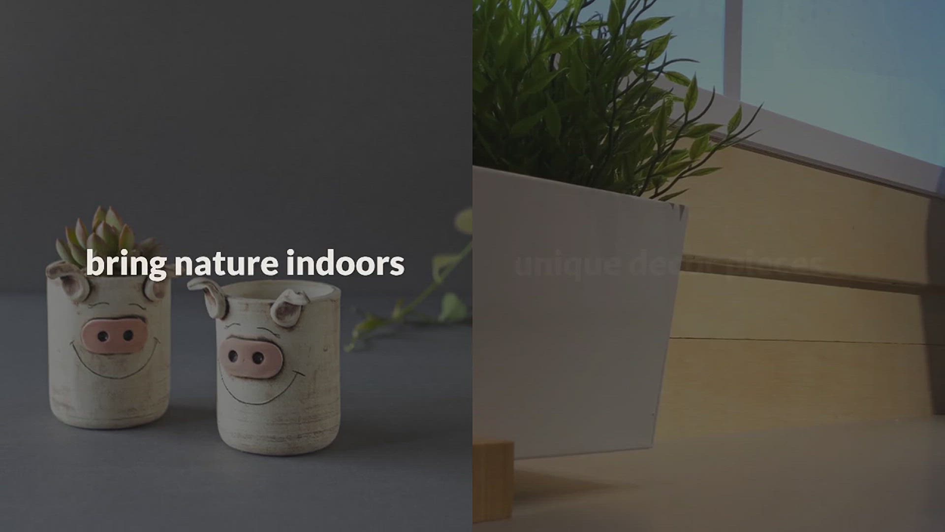 'Video thumbnail for DIY Magnetic Planter Ideas for Your Home'