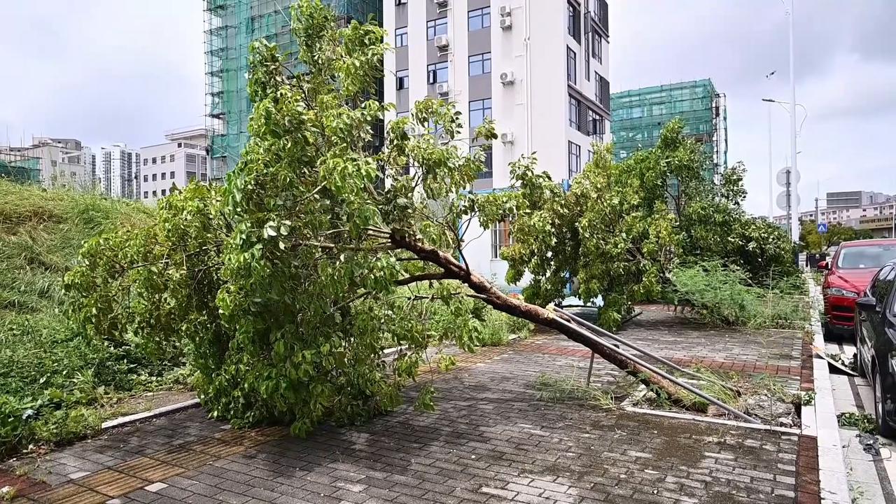 Video thumbnail for Thailand: Typhoon Noul causes severe damage in China's Guangdong province.