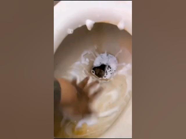 Video thumbnail for it's serious 😱😱