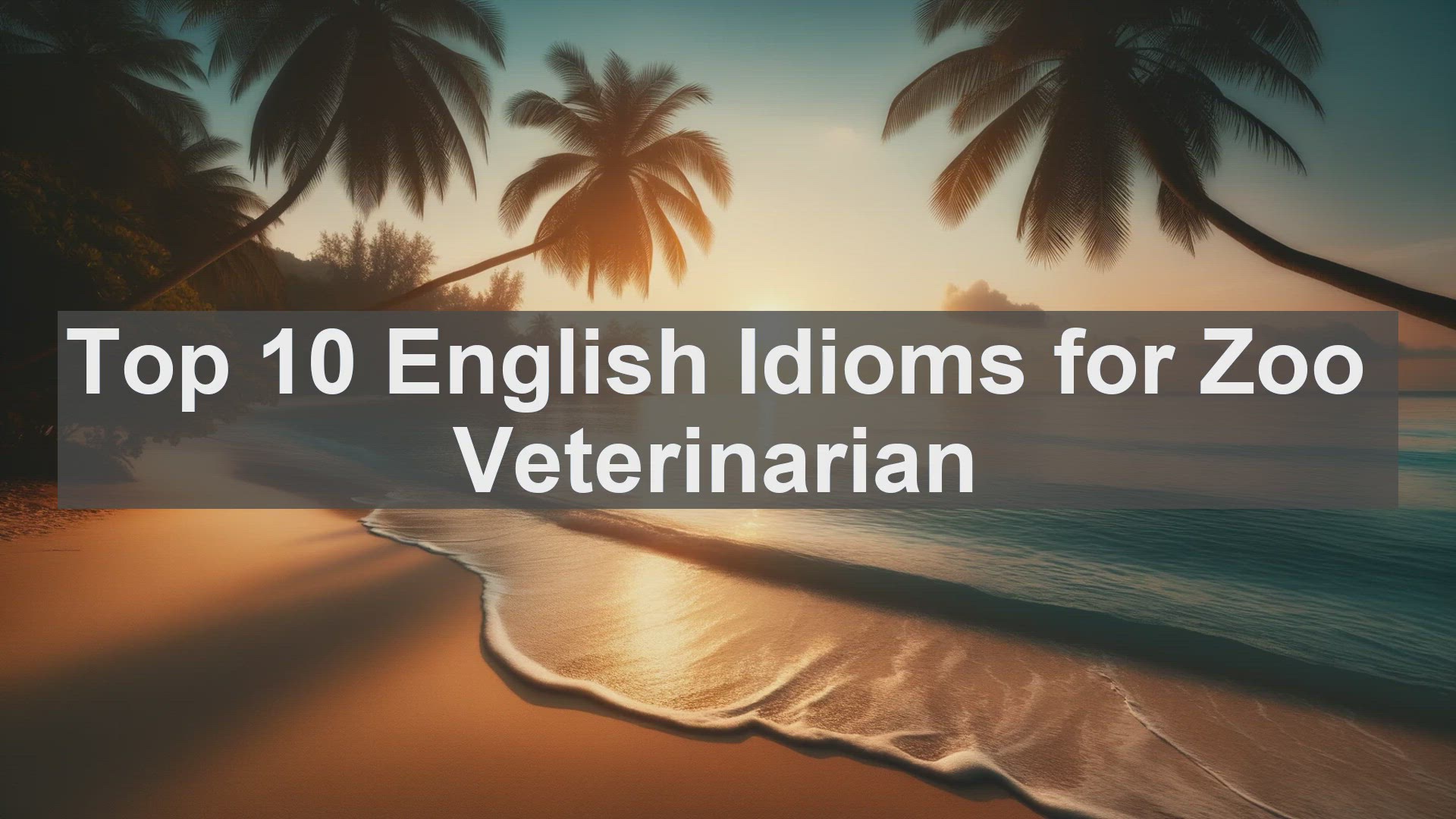 'Video thumbnail for Top 10 English Idioms for Zoo Veterinarian'