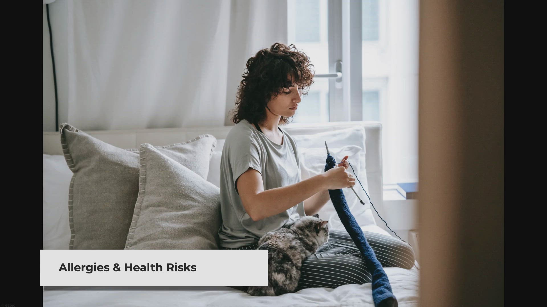 Video thumbnail for Does Cat Hair Cause Any Disease? Debunking the Myths