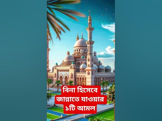 Video thumbnail for বিনা হিসেবে জান্নাতে যাওয়ার ১টি আমল#shorts #viral#sheikh_ahmadullah#islamicalortips