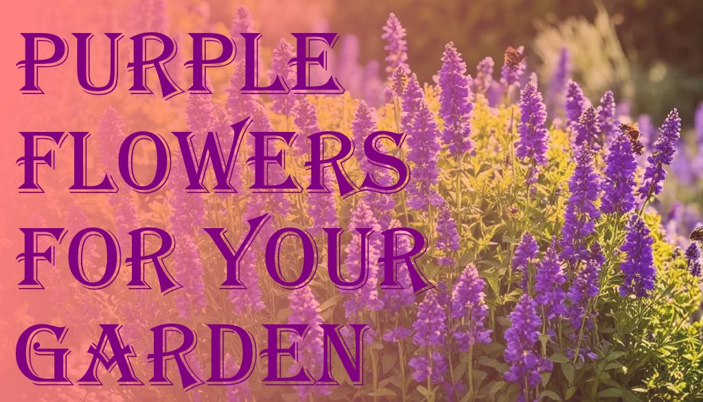 Video thumbnail for Vibrant Purple Flowers for Gardens