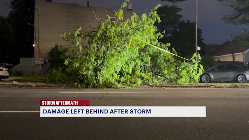 Video thumbnail for Overnight storms topple trees, leaves behind damage across Brooklyn