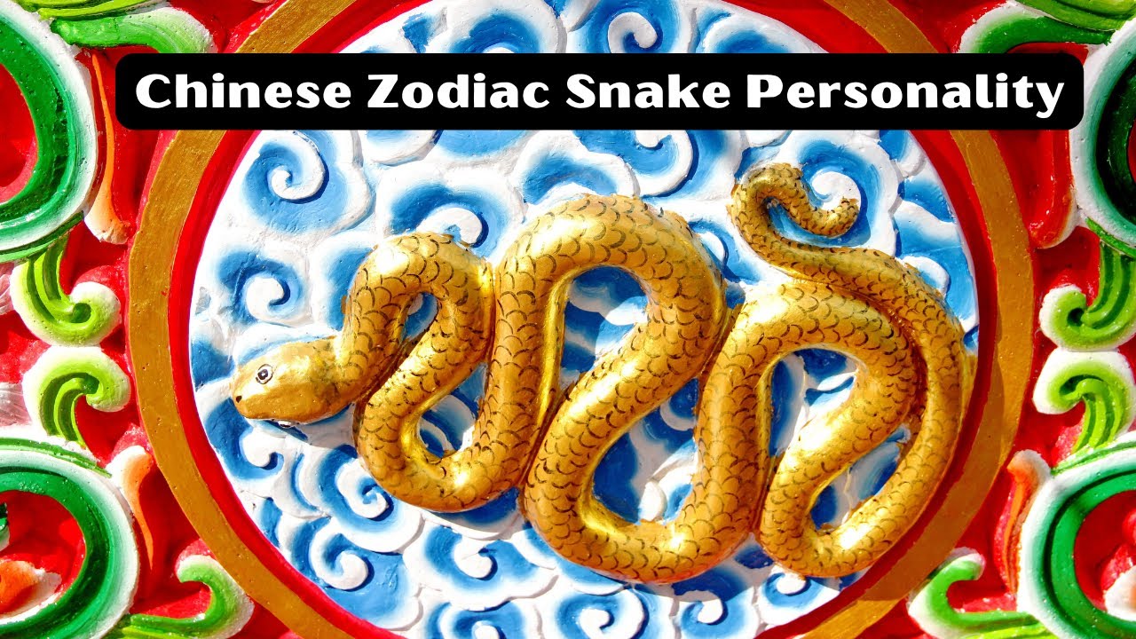 'Video thumbnail for The Chinese Zodiac Snake Personality: video blog'