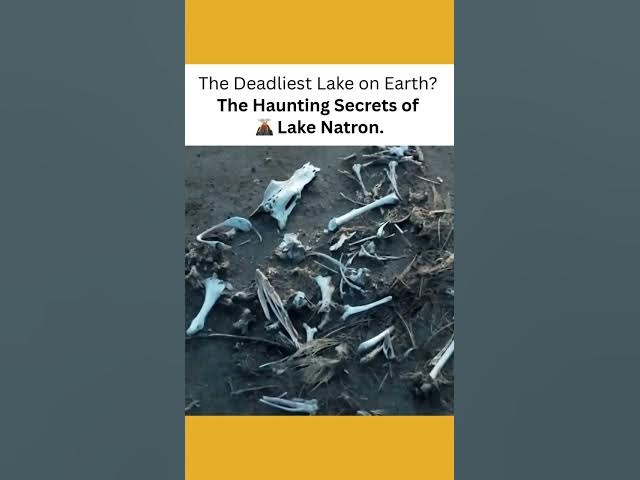 Video thumbnail for 🔴 The Deadliest Lake on Earth? Lake Natron