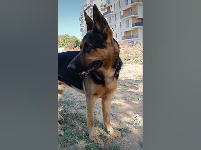 Video thumbnail for Gsd 101 2023 10 15 131916701