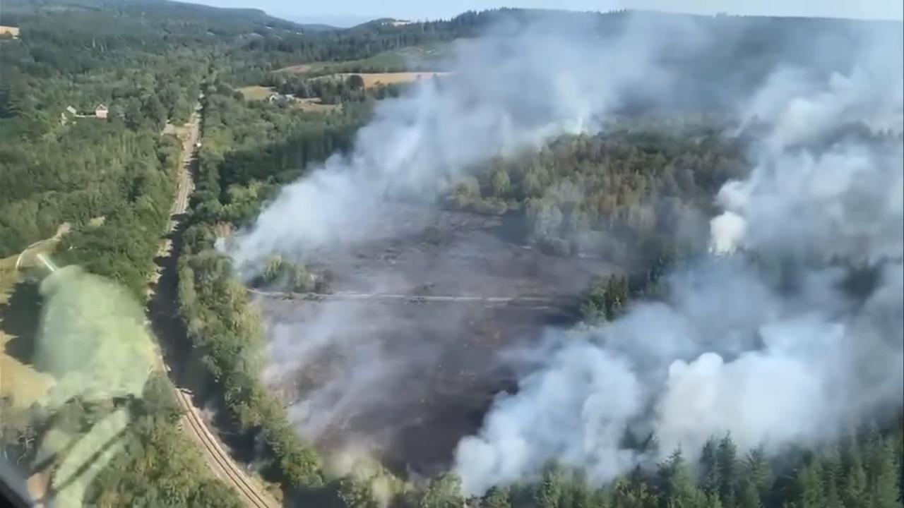 Video thumbnail for France: More than 50,000 hectares burned by wildfire this year, says French interior minister.