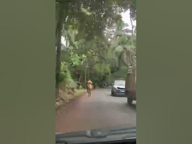 Video thumbnail for Goa's New Gateway: Mopa Airport Unveiled! #goa #Goanews #google #goaaairport#taxiservice #cabservice