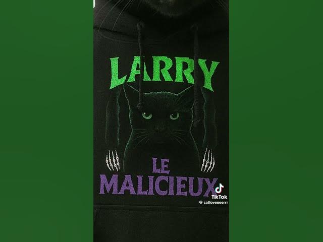 Video thumbnail for #questcequejedevraischoisir