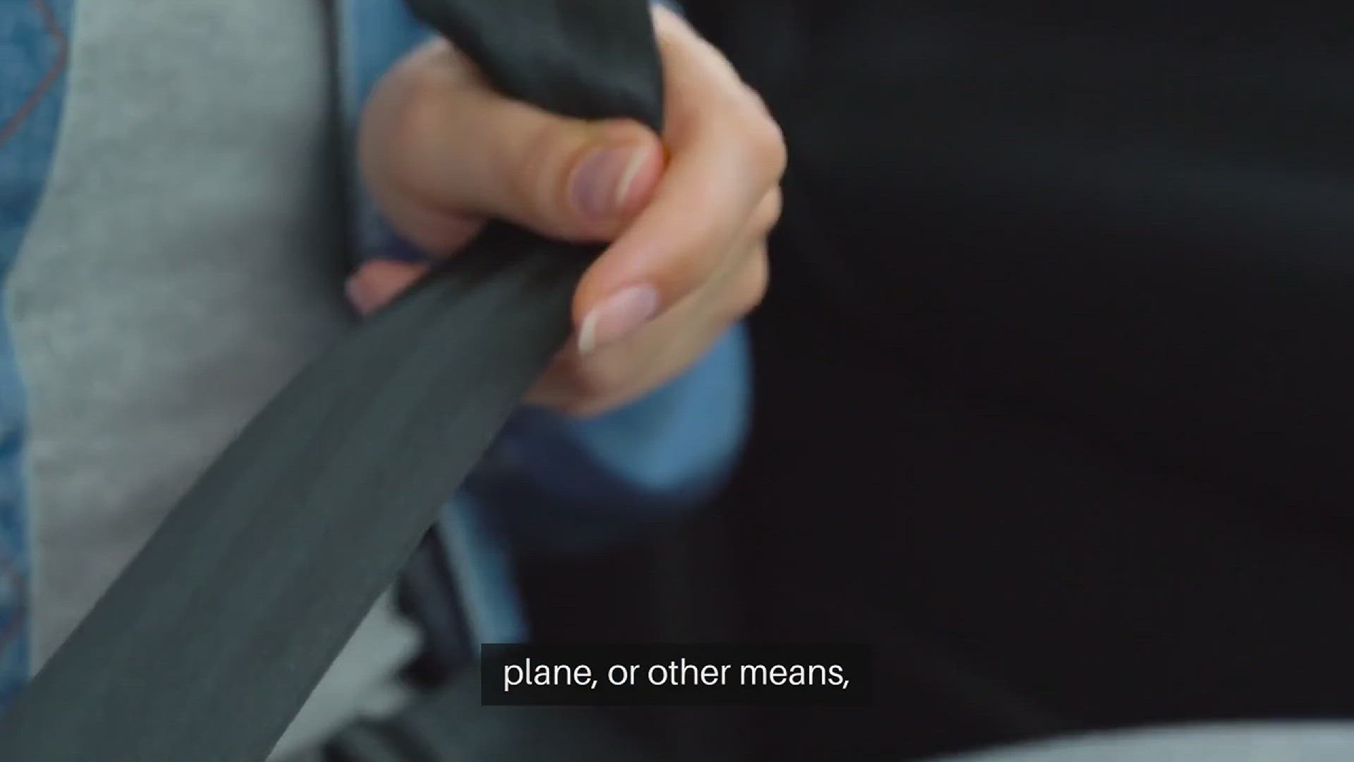 Video thumbnail for Safe Pet Travel Accessories