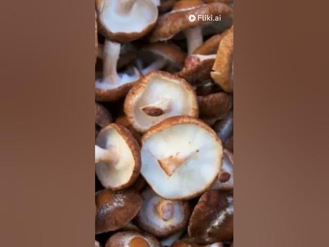 Video thumbnail for 29 common mushroom varieties #mushroom
