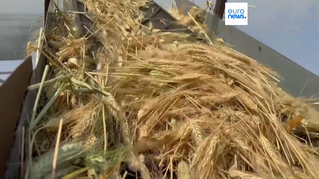 Video thumbnail for EU fertiliser plan exposes link between energy and food bills