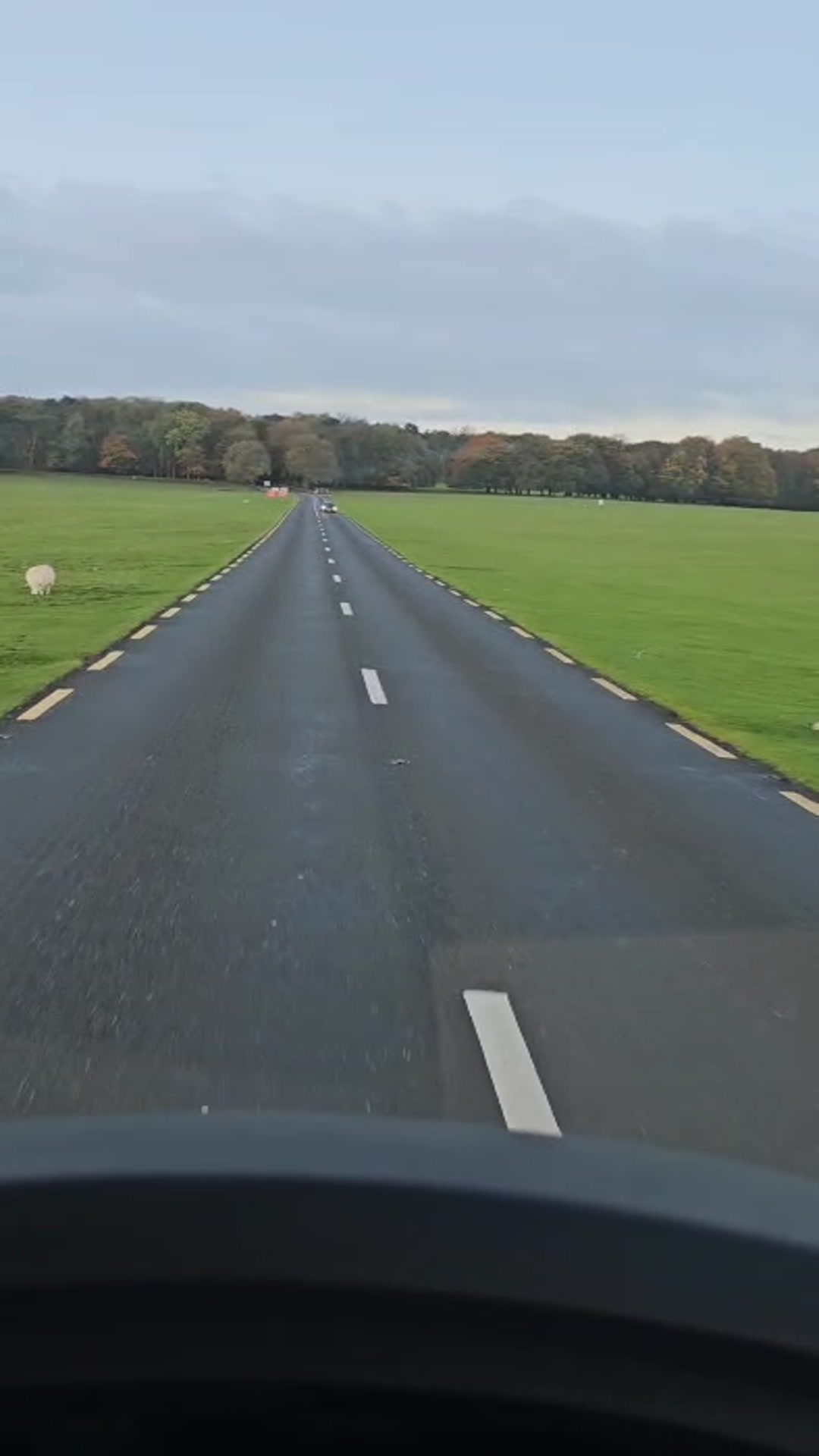 Video thumbnail for Ireland's Nature